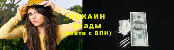 spice Пестово