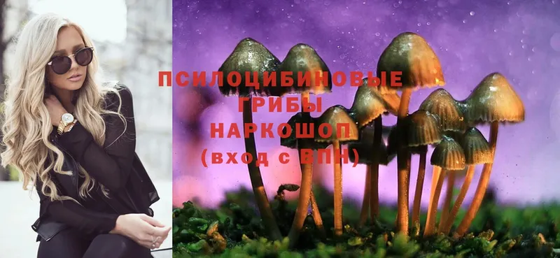 наркота  Арамиль  OMG рабочий сайт  Псилоцибиновые грибы Psilocybe 